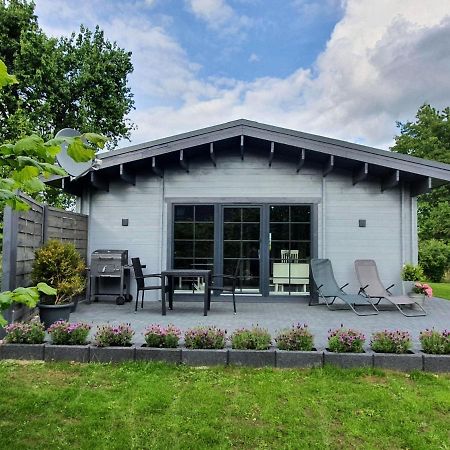 Idyllisches-Blockbohlenhaus-Mit-Eigenem-Garten-Und-Sauna-Zum-Wohlfuehlen Martensrade Exterior photo